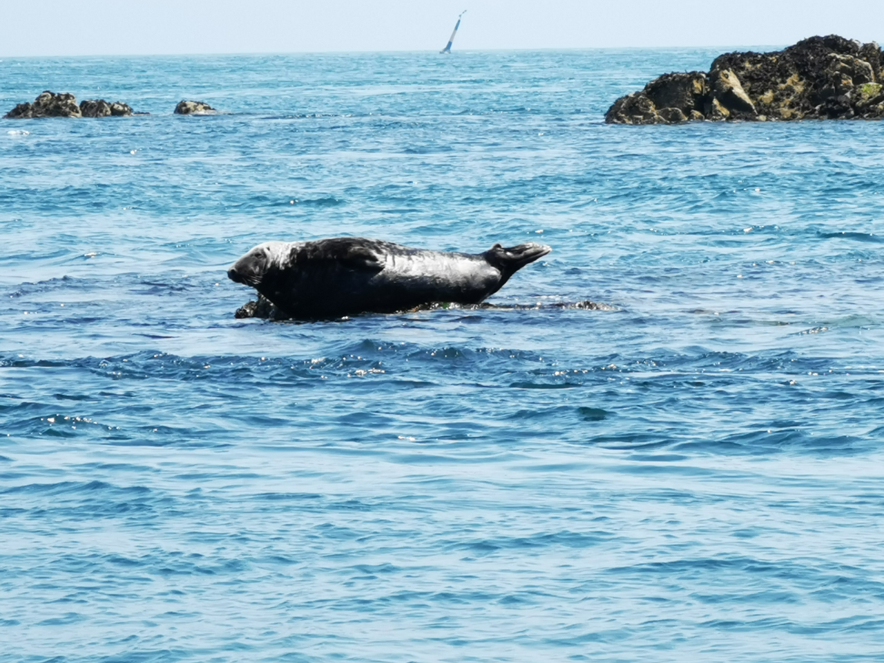 Traversées directes Sur Mer Bréhat