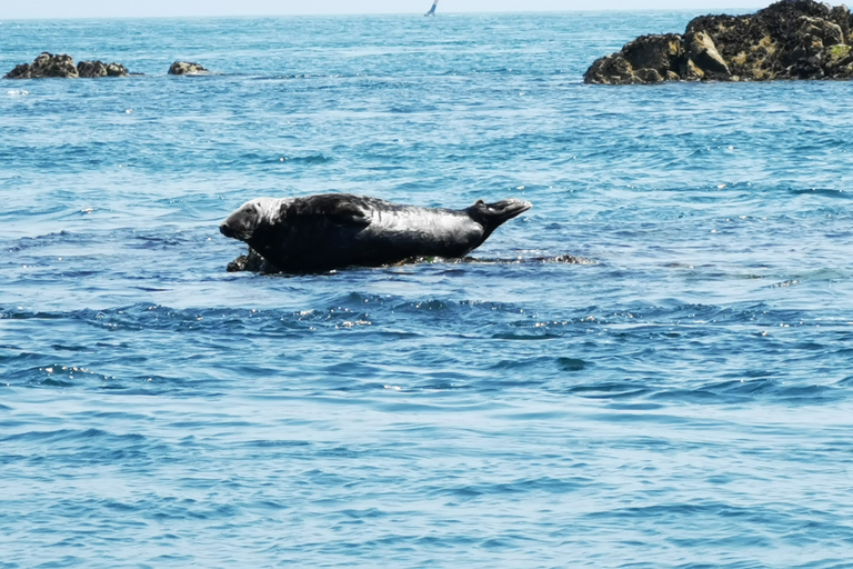 Prestation Tour de l'Île Premium à Thèmes, Compagnie Sur Mer Bréhat